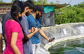 Social Innovation team from Sahyadri  visited ‘Aquacult Shrimp farm, Mangalore’ to understand the problems of shrimp farming